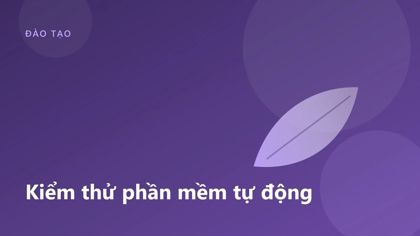 Kiểm thử phần mềm tự động