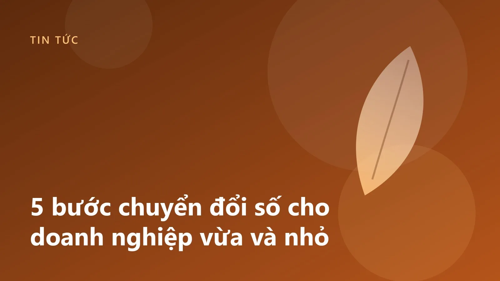 5 bước chuyển đổi số cho doanh nghiệp vừa và nhỏ